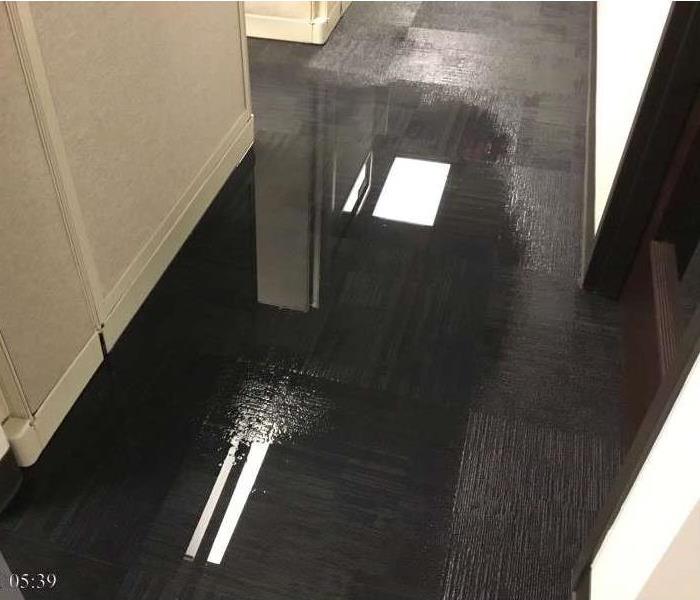 Standing water on carpets.