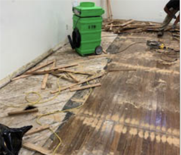 Wood floor demo in action
