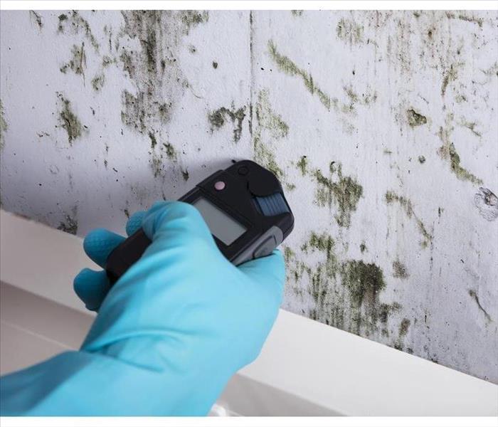 Blue rubber glove, holding a moisture meter against a wall