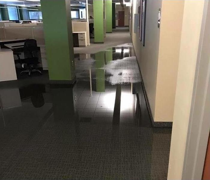 Wet carpet, flooded office building