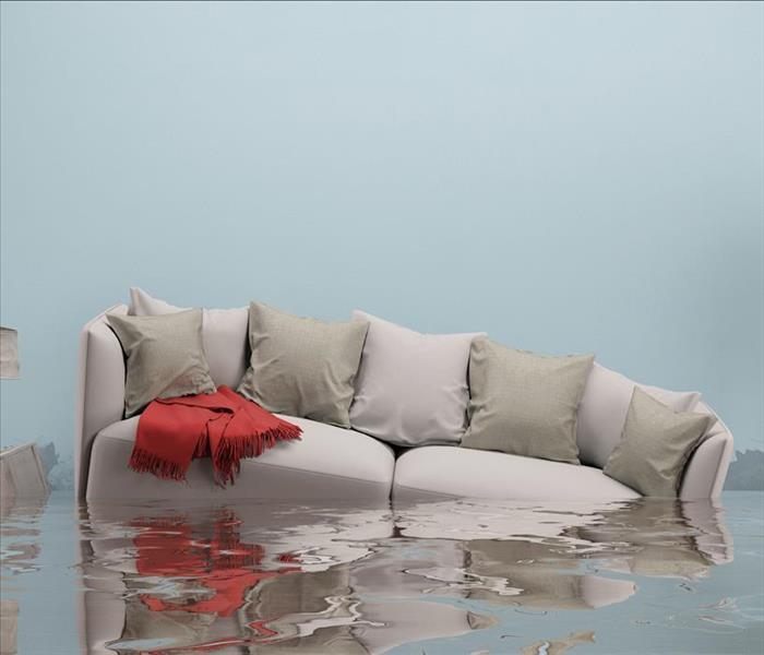 Coach floating in a living flooded room.